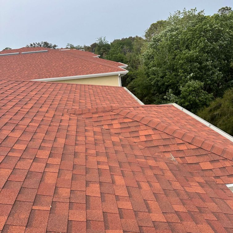 shingle roof companies Tampa shingle roof companies Tampa